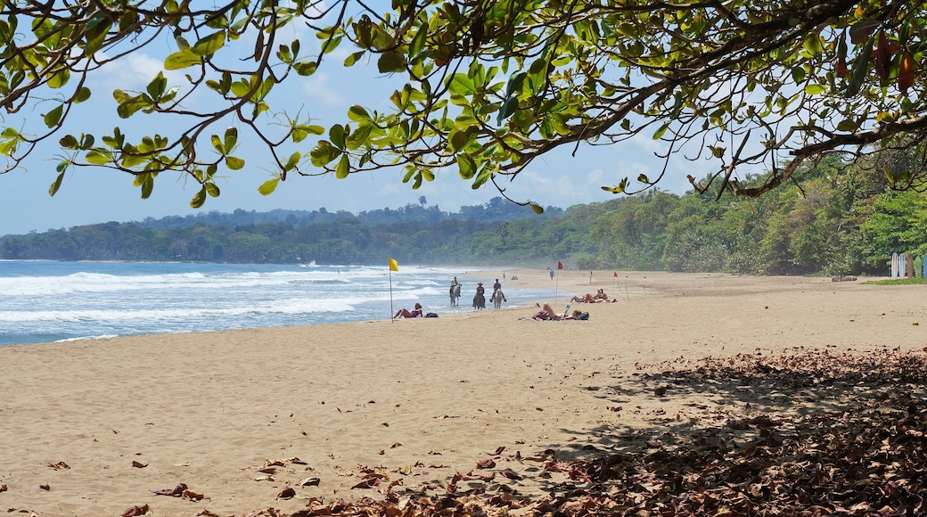 Puerto Viejo de Talamanca