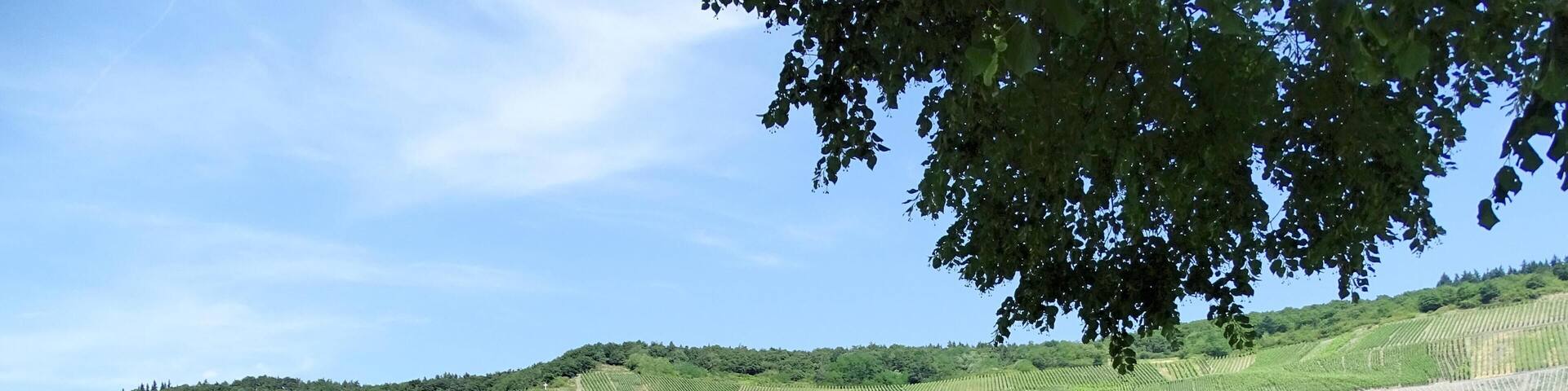Bernkastel-Kues, Germany