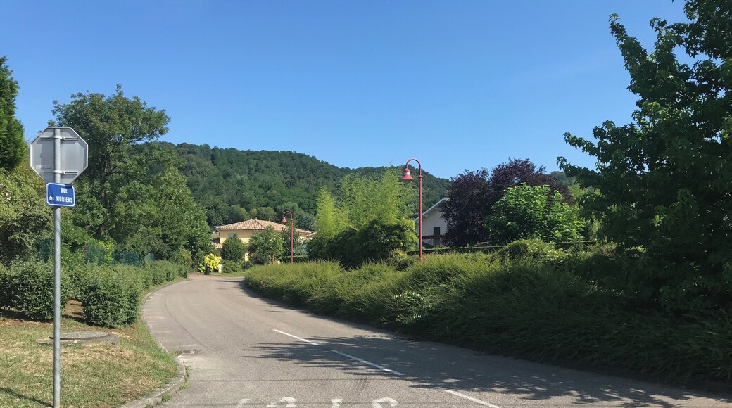 Rue des Mûriers à Saint-Maurice-de-Beynost en juillet 2018.