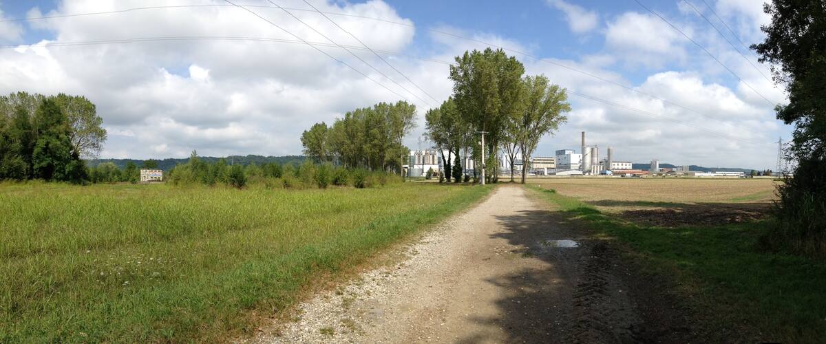 A rural road with trees and fields, leading to industrial buildings in the distance.