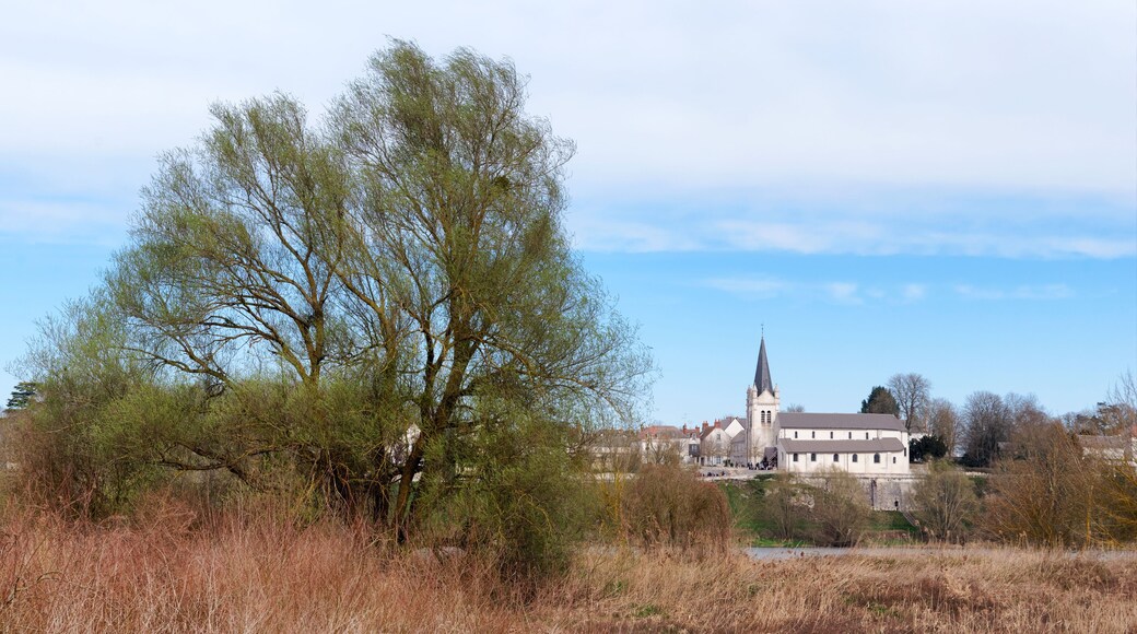 La Chapelle-Saint-Mesmin