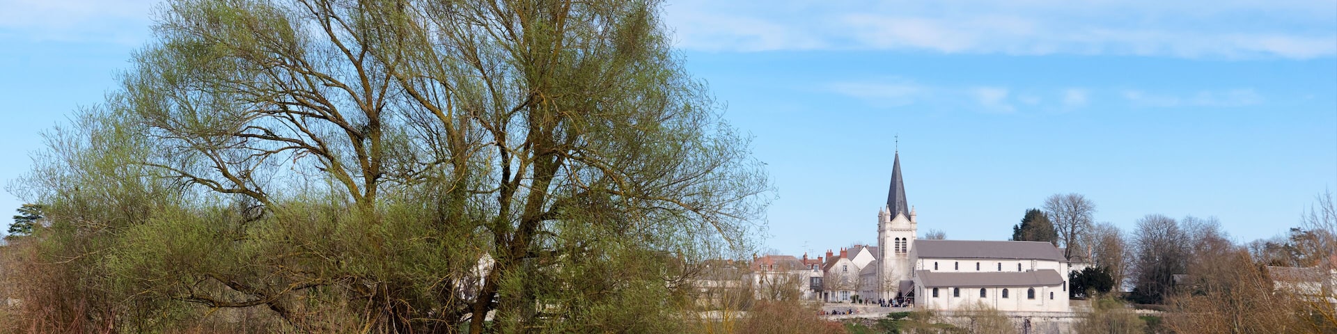 Loire river bank and La Chapelle-Saint-Mesmin village