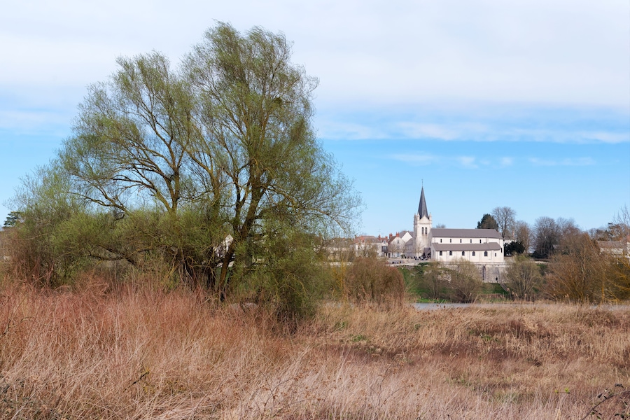 Loire river bank and La Chapelle-Saint-Mesmin village