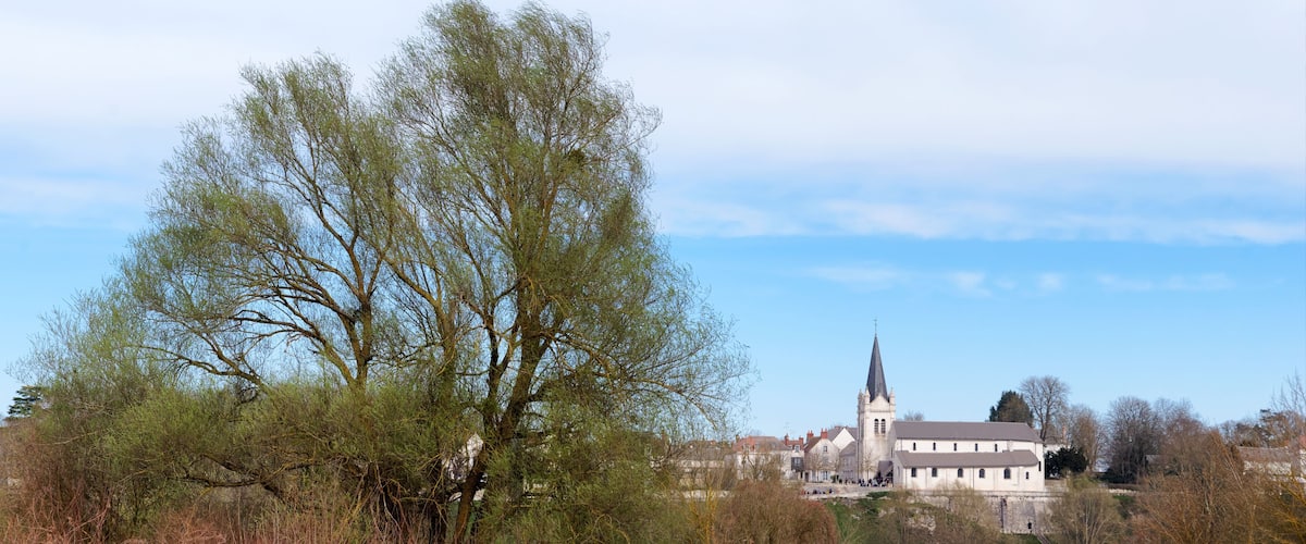 A church with a tall spire, surrounded by dry grass and trees.
