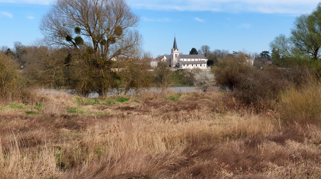 La Chapelle-Saint-Mesmin