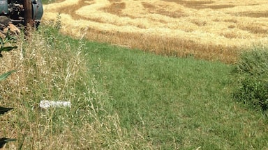 Green field, tractor, mown wheat, lavender and a hilltop town. How gorgeous is Cote de Rhone, Provence? #colorful