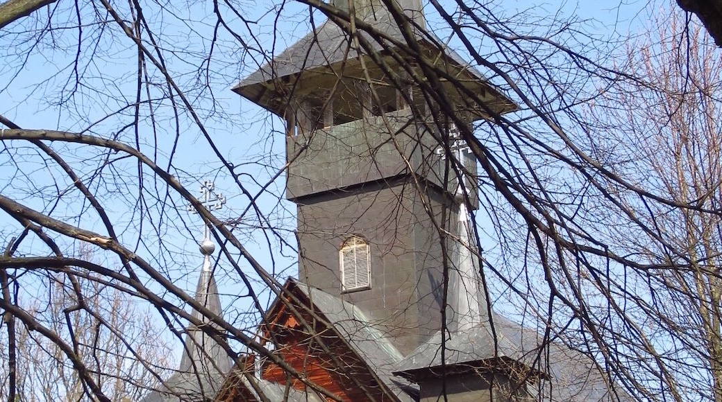Orthodox Church (wood)
Băile Felix is a thermal spa resort near the commune of Sânmartin in Bihor County, Transylvania, Romania. They are among the best known and most quality thermal spas in the country.