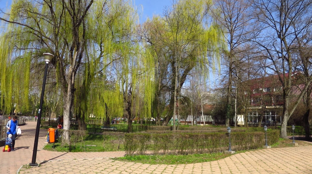 Drooping willows in Baile Felix spa.
Băile Felix and 1 Mai are two thermal spa resorts located in a hilly area with birch and oak tree woods.
