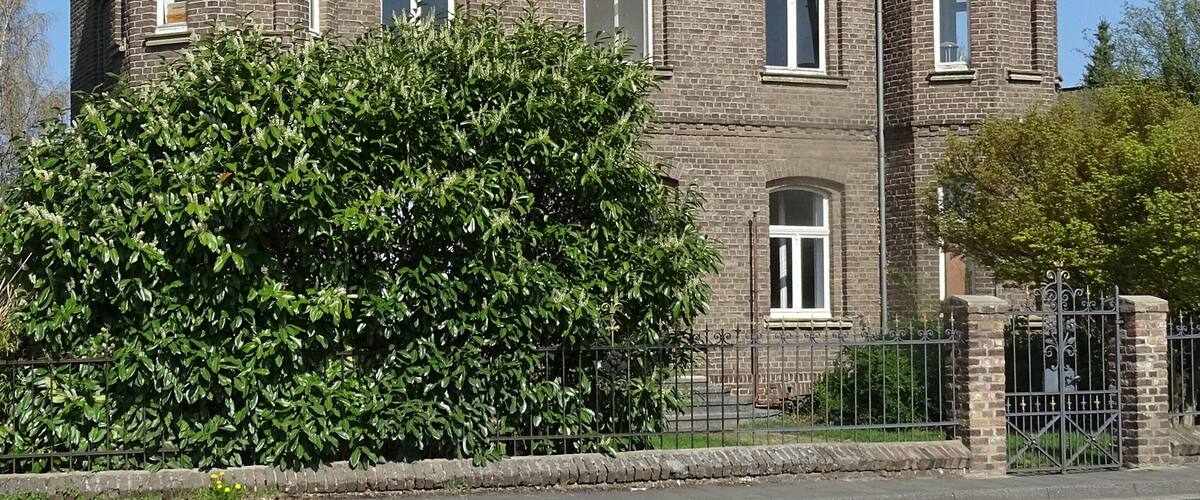 Residential house in Kuchenheim, Willi-Graf-Straße 73