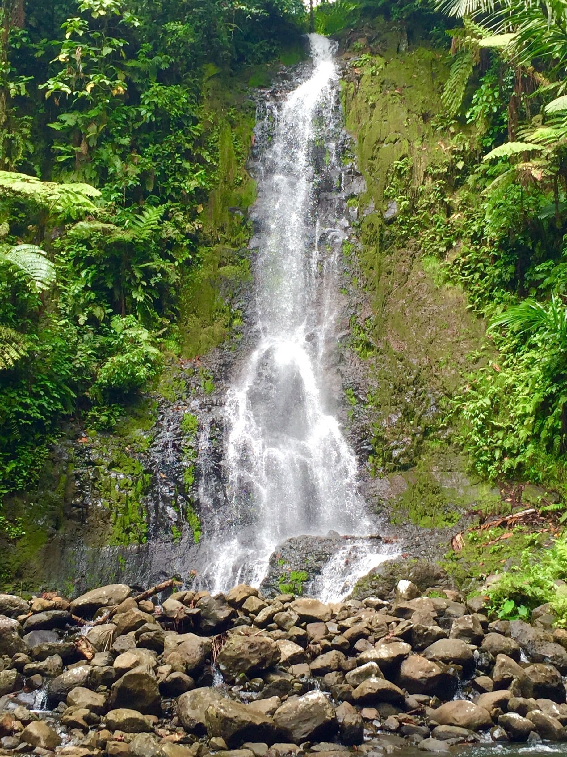 The 5th waterfall on the Kitti 6 Waterfall hike, just a short walk from Iro. #pohnpei #waterfalls #hiking 