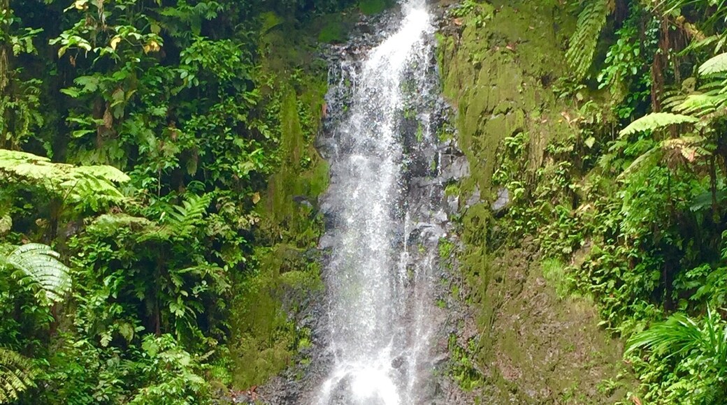 The 5th waterfall on the Kitti 6 Waterfall hike, just a short walk from Iro. #pohnpei #waterfalls #hiking