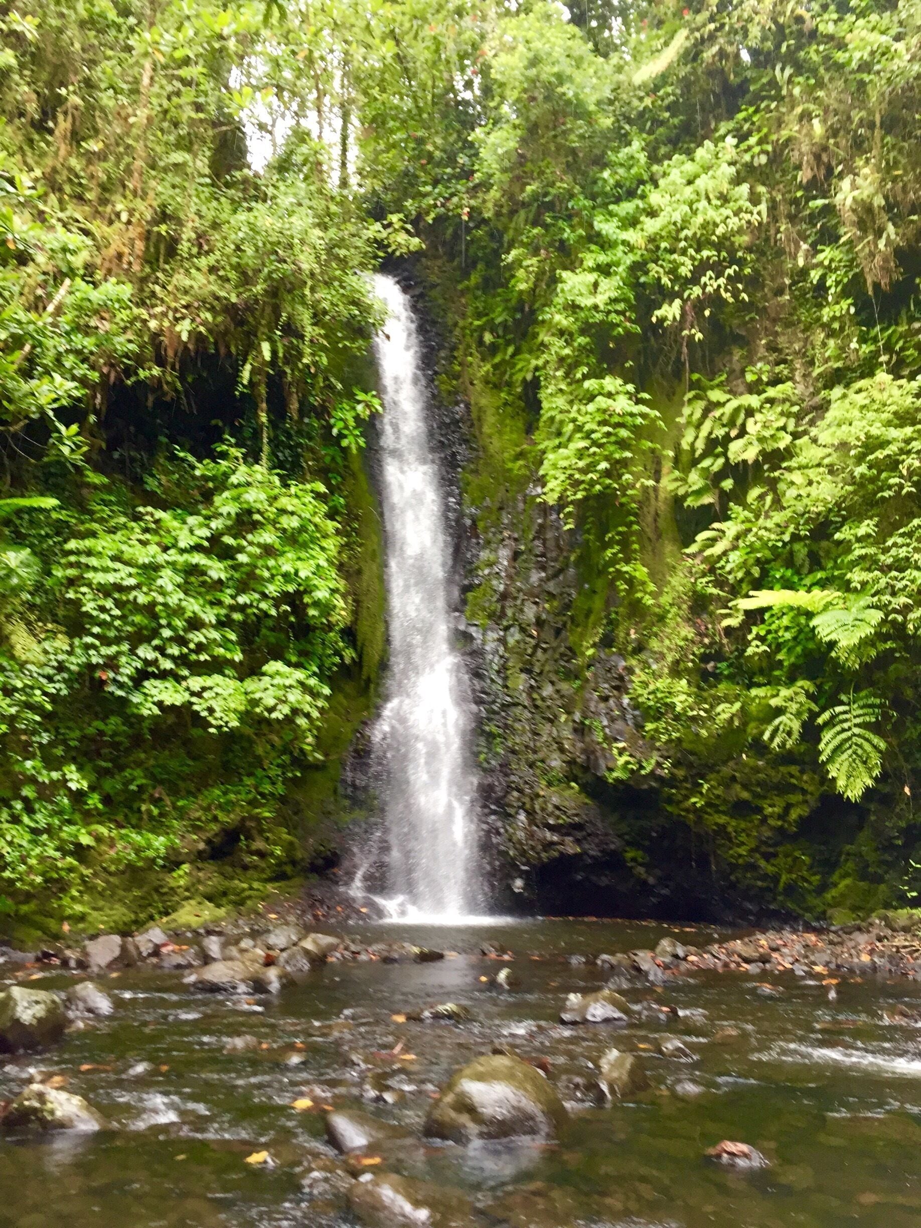 Waterfall number 3 on the Kitti 6 waterfall hike. A little bit of rock climbing is necessary. #pohnpei #waterfalls #hiking