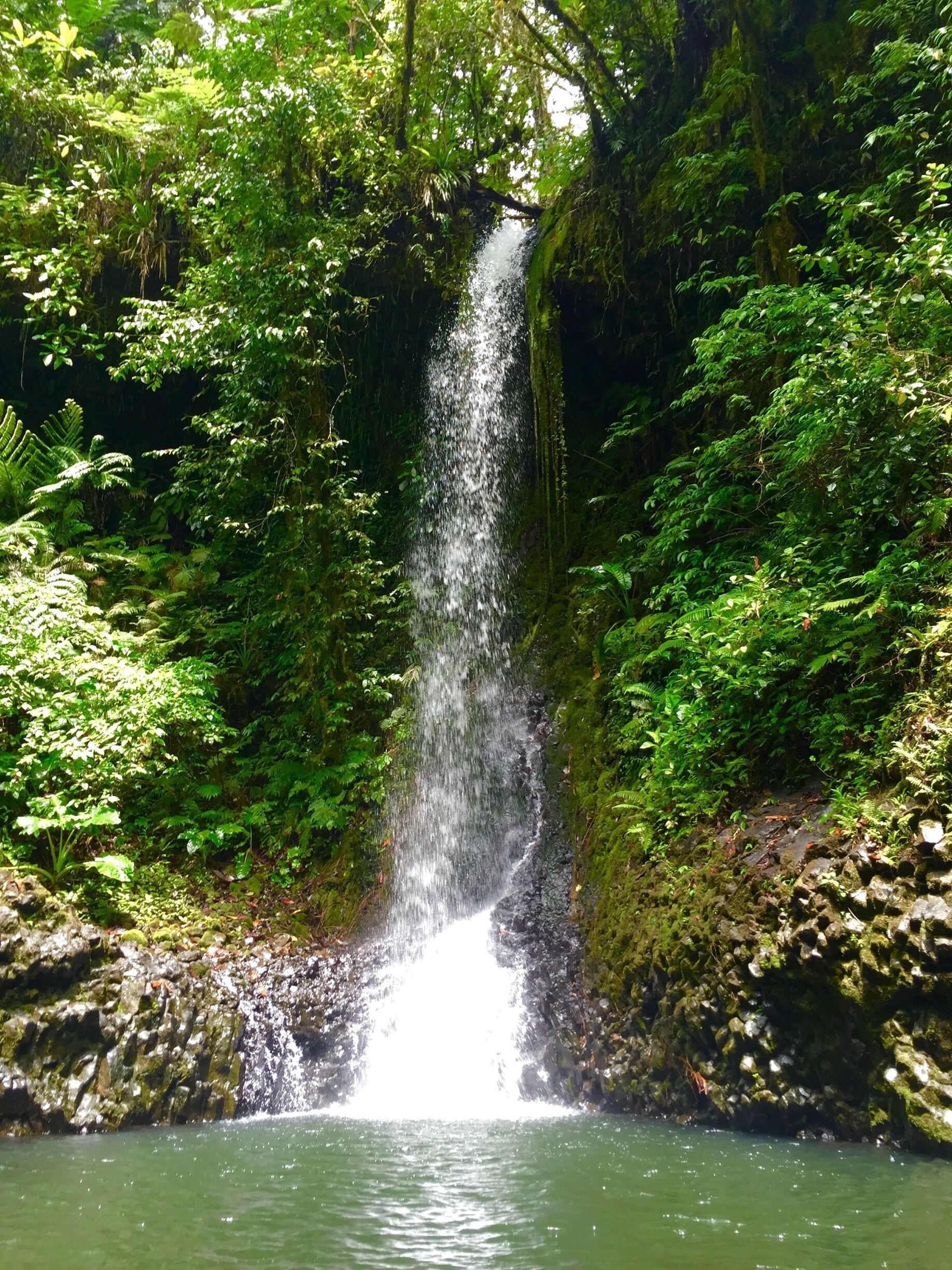 The first of the Kitti 6 Waterfalls hike. Pahnairlap is a punchbowl fall with a cool green pool at the base. Cool off here before continuing the rest of the challenging 5 hour trek. #pohnpei #waterfall #hiking 
