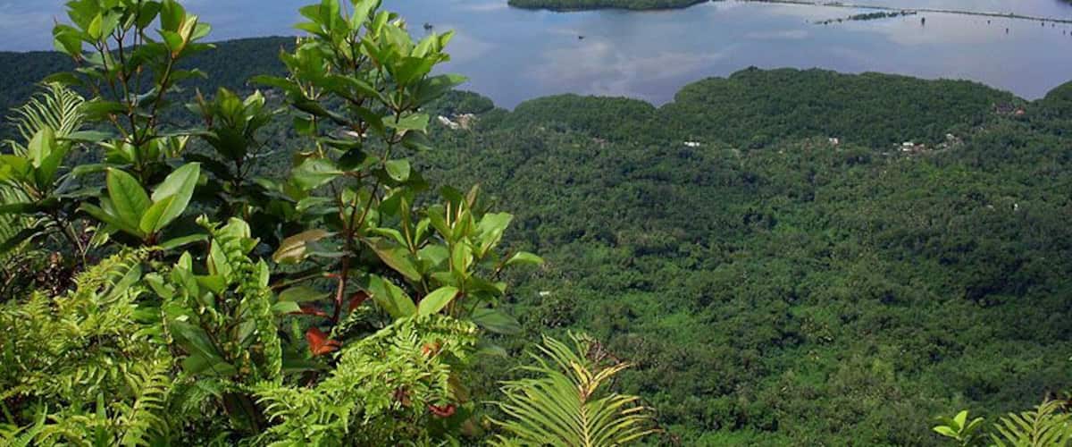 View of Kolonia, Pohnpei, FSM from Sokehs Rock
Read about this wonderful place at:
http://vagabondtraveltales.com/pohnpei-federated-states-of-micronesia/