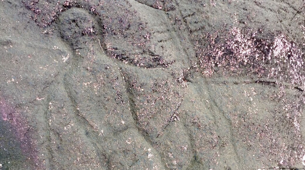A series of stone carvings depicting warriors, weapons, whales, hands and other images in a basalt outcropping. The origins of the rock itself and the carvings are the stuff of legends in Pohnpei. #archeology