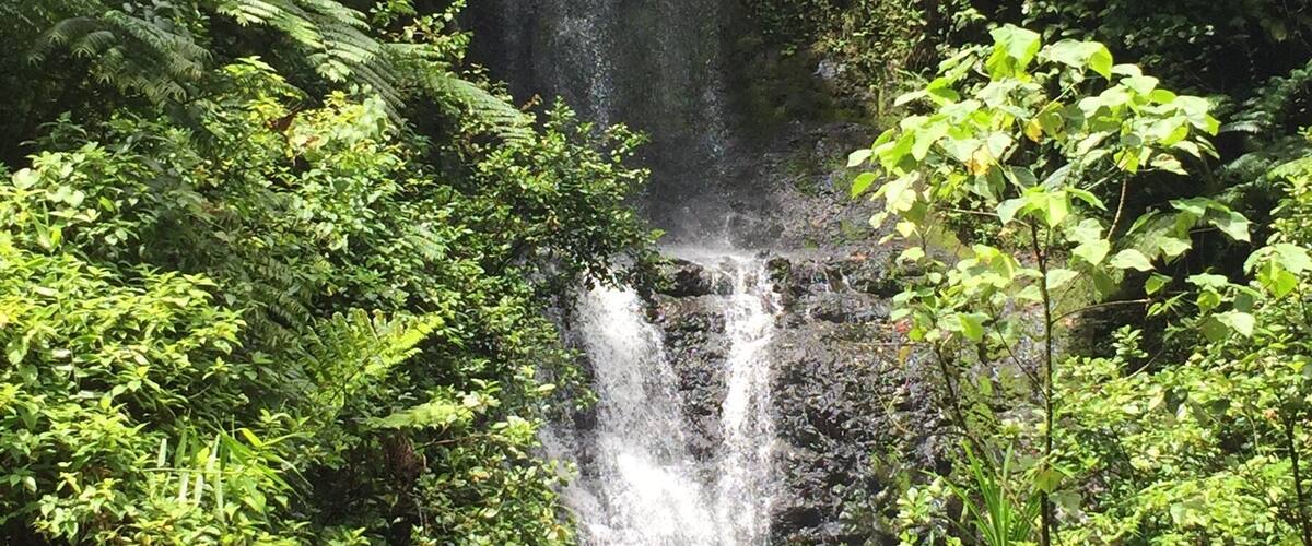 Waterfall number 4 of the Kitti 6 Waterfall hike. The trek to this one and the next is the easiest portion of the hike, and offers a great place to rest for the second half of the trip. #pohnpei #waterfalls #hiking