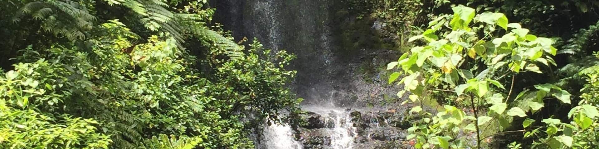 Waterfall number 4 of the Kitti 6 Waterfall hike. The trek to this one and the next is the easiest portion of the hike, and offers a great place to rest for the second half of the trip. #pohnpei #waterfalls #hiking