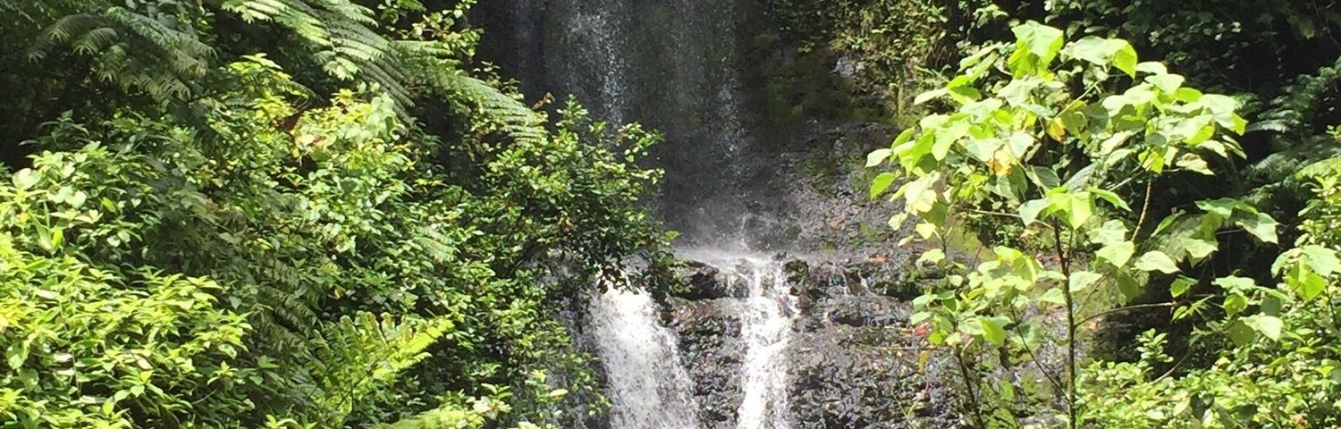 Waterfall number 4 of the Kitti 6 Waterfall hike. The trek to this one and the next is the easiest portion of the hike, and offers a great place to rest for the second half of the trip. #pohnpei #waterfalls #hiking