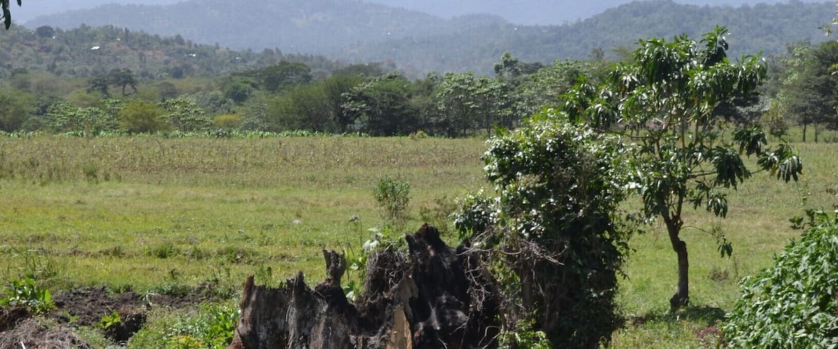 Walking some off-the-beaten-paths around Usa River in Tanzania. The scenery is amazing, with Mt. Meru in the background, almost everywhere. Sometimes one can see the mighty Kilimanjaro as well, or so I hear. Warm and nice, but bit hazy weather as the rain season is about to start.
#mountains #tanzania #scenery #landscape