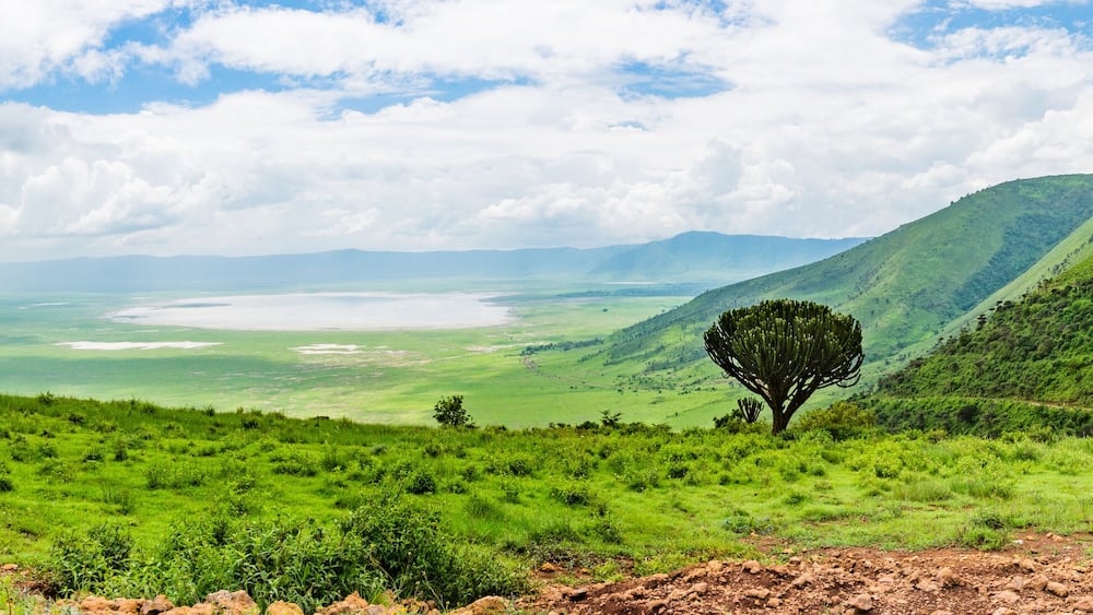 panorama view of the Ngorongora Crater with grassland and lakes
