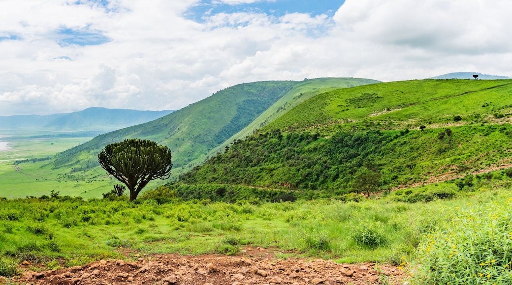 panorama view of the Ngorongora Crater with grassland and lakes