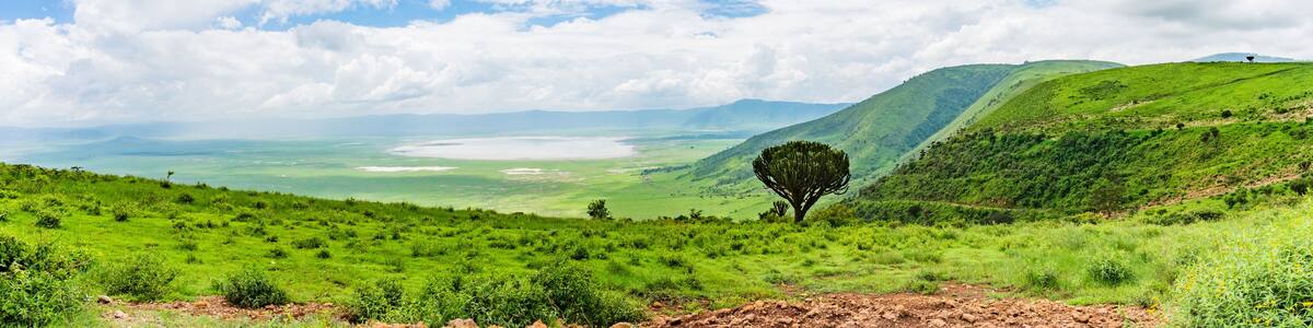 panorama view of the Ngorongora Crater with grassland and lakes