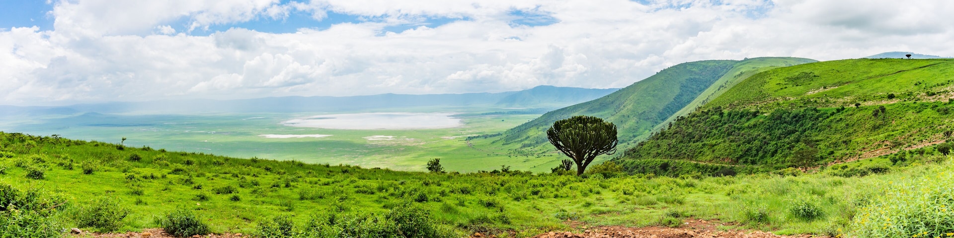 panorama view of the Ngorongora Crater with grassland and lakes