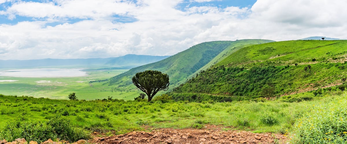 panorama view of the Ngorongora Crater with grassland and lakes