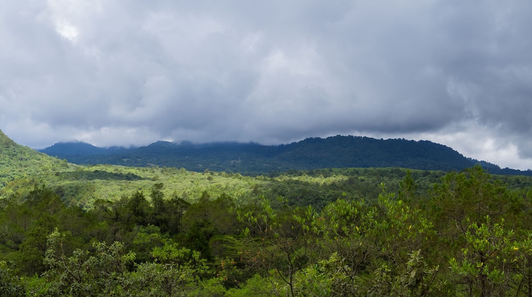 Scenic lush green panoramic landscape of Arusha national park in Tanzania under stormy weather