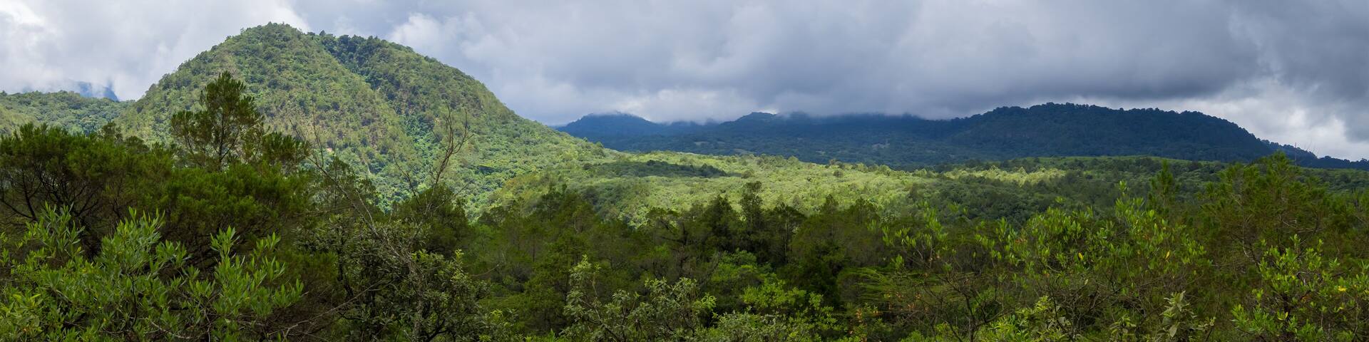 Scenic lush green panoramic landscape of Arusha national park in Tanzania under stormy weather