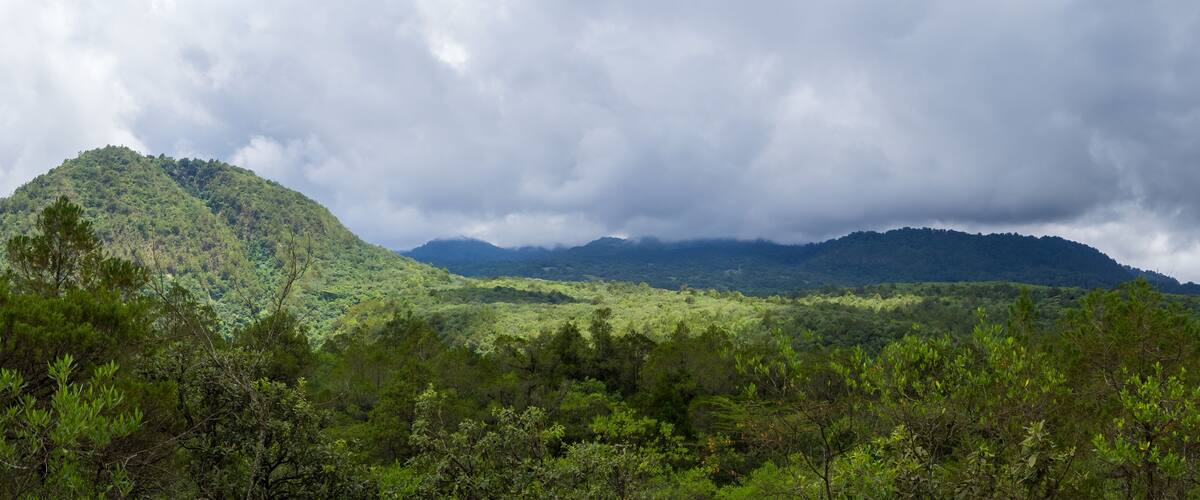 A lush green mountain range with dense forest in the foreground and a cloudy sky above.