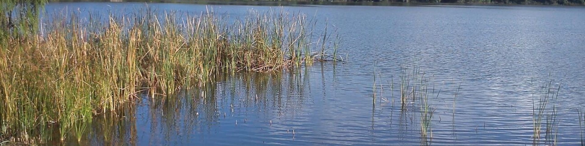 For a cool evening get down here ,grab a peddle and get to a boat into the water as you watch the sun go down. A beautiful place in Arusha Tanzania,a nice place for a bonfire .