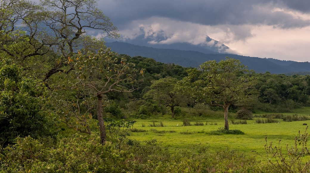 Scenic panoramic landscape of Arusha national park in Tanzania.