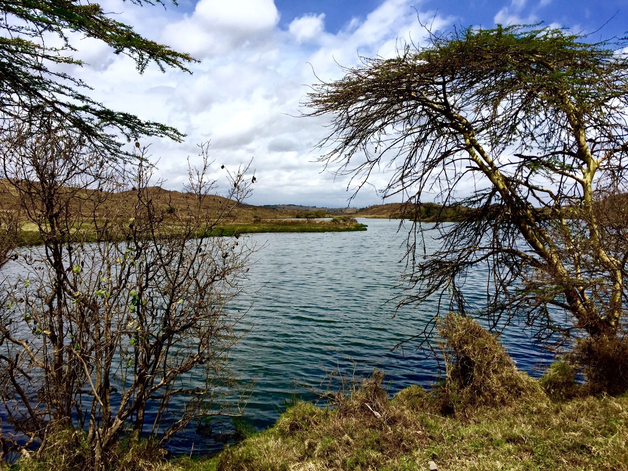 Small lake in the Arusha national Park 