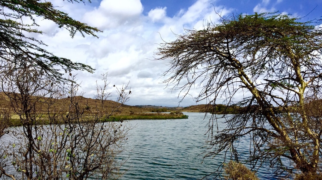 Small lake in the Arusha national Park