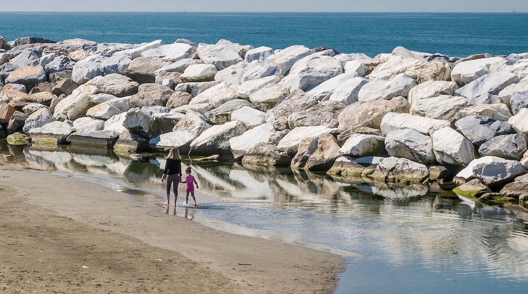 Livorno