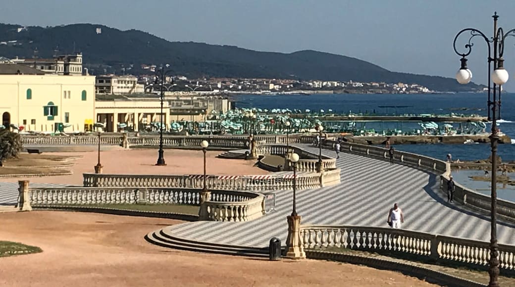 There is a Ferris wheel on the boardwalk near the aquarium that provides an excellent panoramic view of the Livorno seaside for 4€ pp.