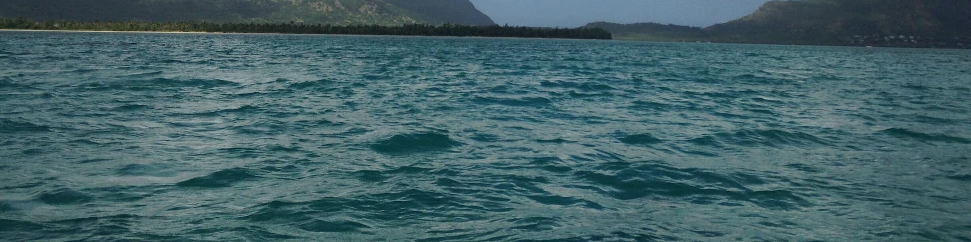 Turquoise colored water, howling winds, dancing dolphins, inter alia, all ensemble to constitute a picturesque setting for a nonpareil unwinding on board (cruise).