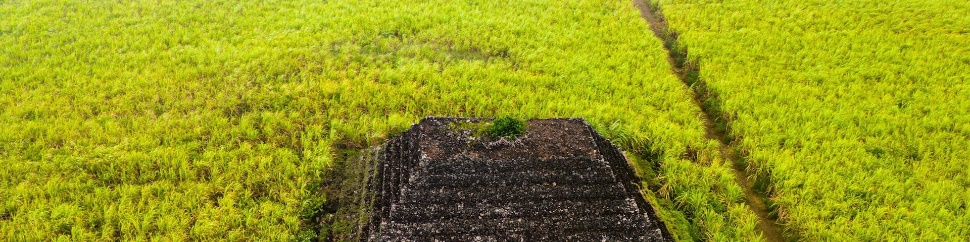 Aerial view by drone of mysterious pyramids in green fields, Plaine Magnien, Grand Port, Mauritius, Indian Ocean, Africa