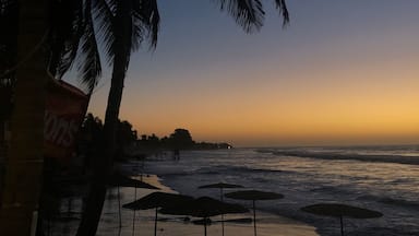 A beach at sunset with palm trees and umbrellas.