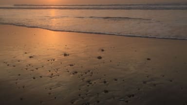 #sunset in #gambia Im a Norwegian so this is my #winterwonder