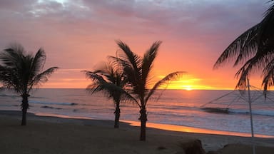 A beach with palm trees and a sunset over the ocean.
