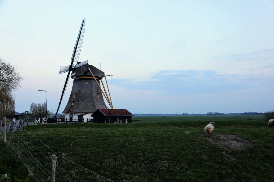 This Windmill in Aboude Netherlands has been converted to a an amazing three bedroom Air B and B rental. We had the pure joy of staying 2 nights in it in April. The countryside around it is beautiful farmland and a small canal runs right across the small road from it. You can walk or bike to Abcode about 1 mile off and more then anything just relax and enjoy staying in such an amazing place.