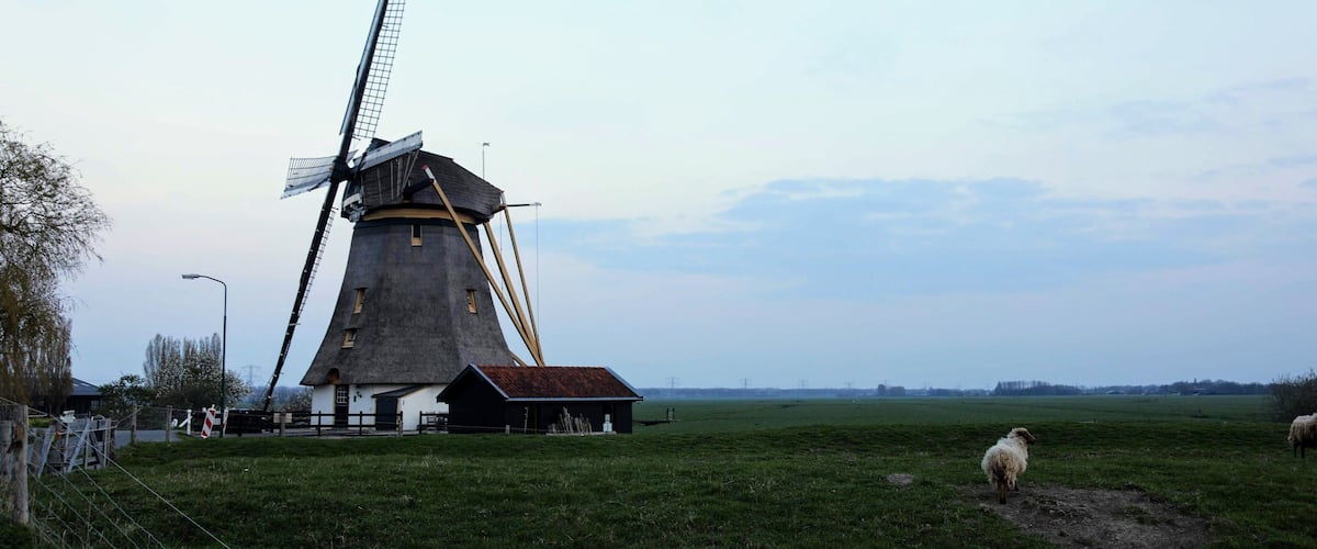 A windmill, a barn, and a fenced field with sheep.