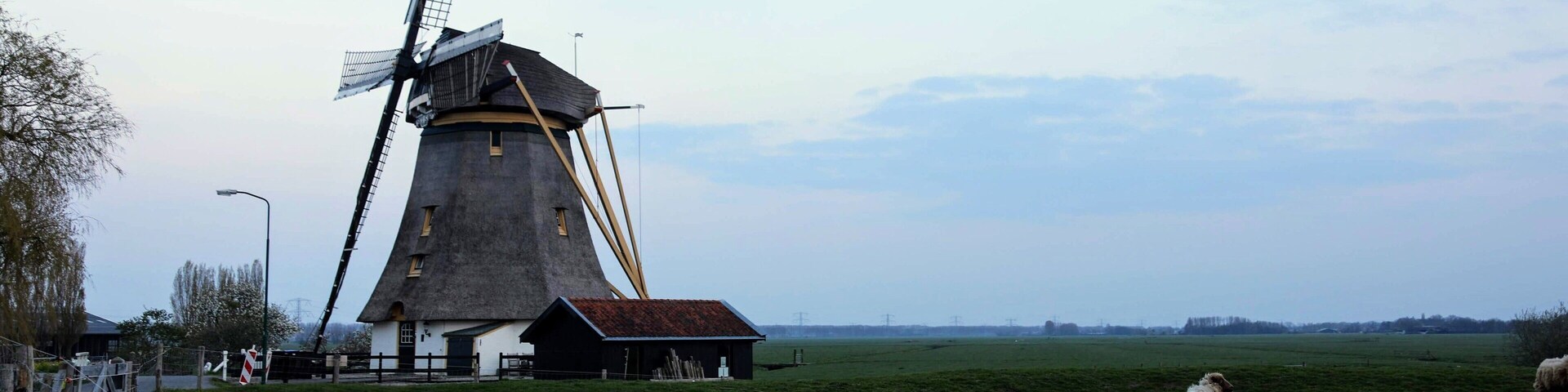 A windmill, a barn, and a fenced field with sheep.