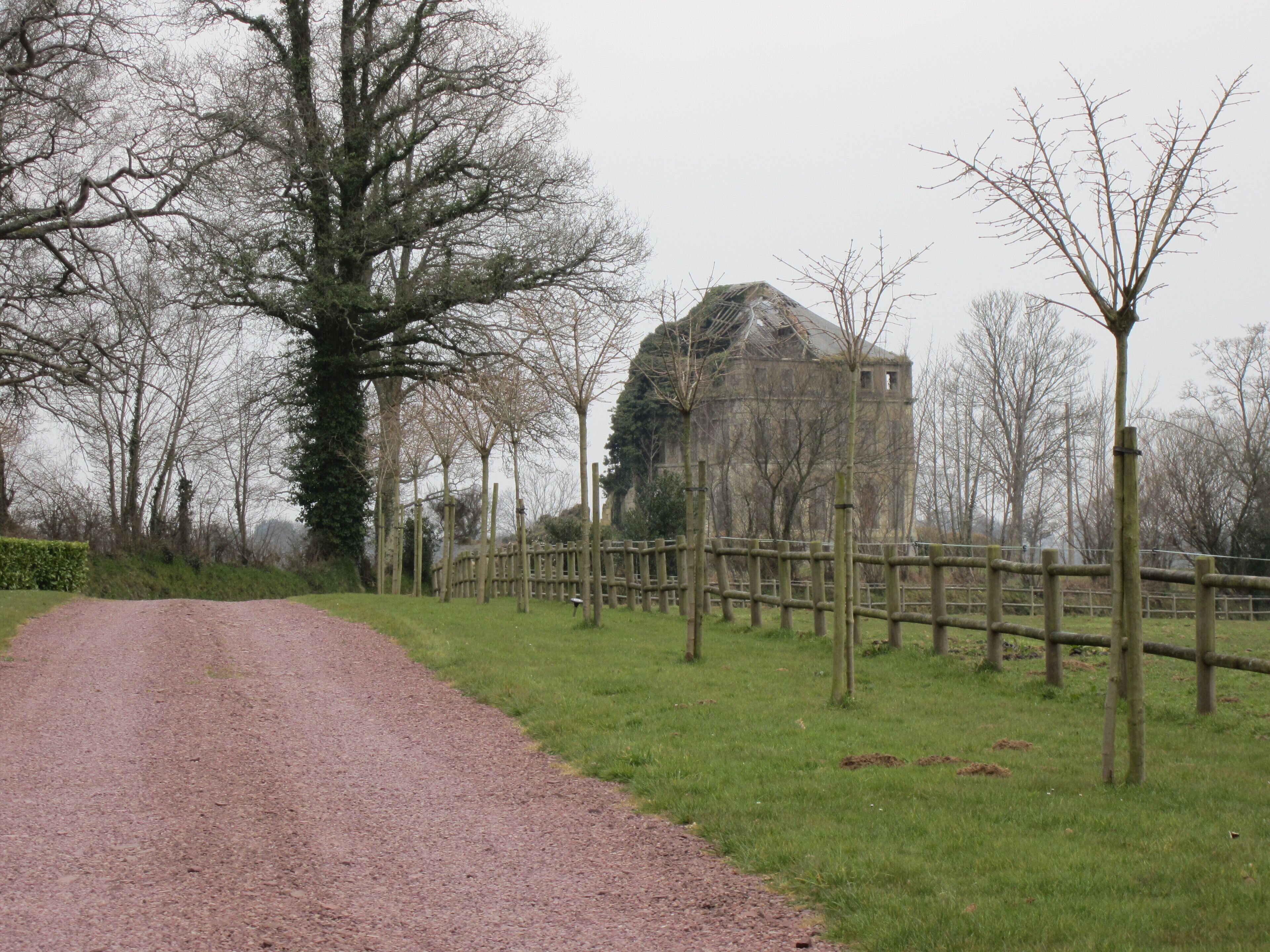 Château de la Mare, 19e, ruines