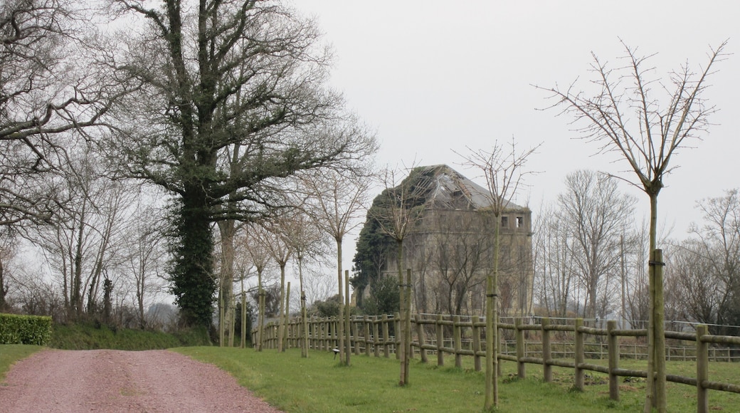 Château de la Mare, 19e, ruines