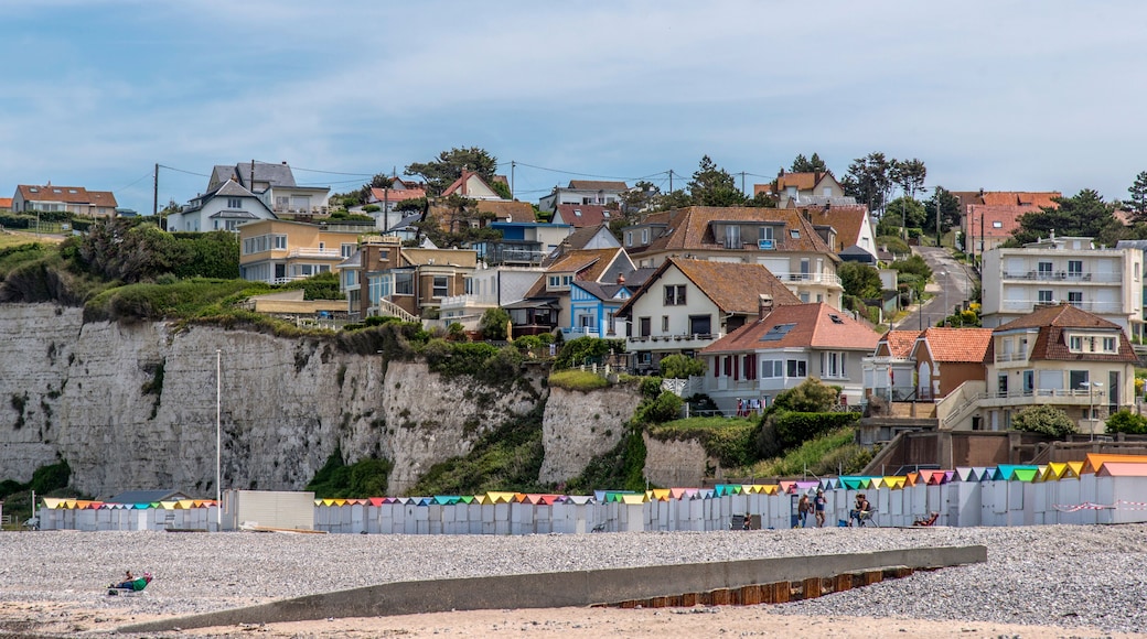 Vue panoramique des falaises de craie et de la ville de Criel-sur-Mer, Seine-Maritime, France