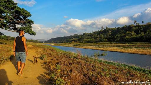 I yet again walk in a blissful valley of peacefully flowing river, of endless sight, of warm sunshine, of glowing grass and blooming flowers, of blue sky and white clouds, of serene village life and adventurous mud road, of untold stories and some historic memories.
As I walk by the river bank falling in love with every moment passing by under the golden sunshine, I am reminded of the eternal beauty of this wonderful earth which never stops to surprise us.
We humans have created huge expectations of a 'Beautiful' world, sometimes overlooking the little joys of exploring and discovering the simplistic beauty of a neighboring land.
If explored with a open mind and joyful heart you will discover beauty in every corner of the earth.
P.S. - This valley with a river was outside my Airbnb stay in Kandy.