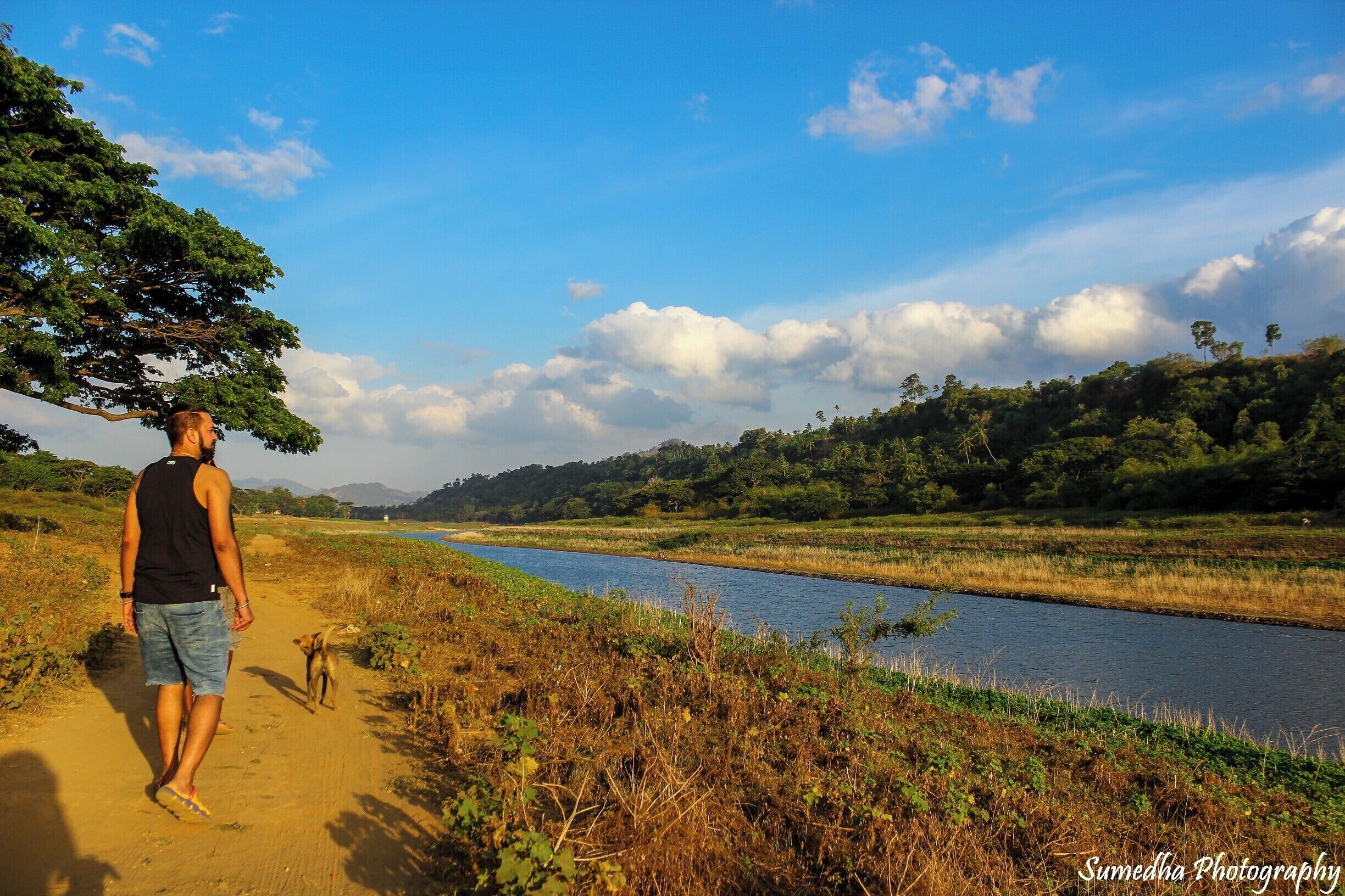 A person walking a dog along a riverbank with a tree overhead and a clear sky.